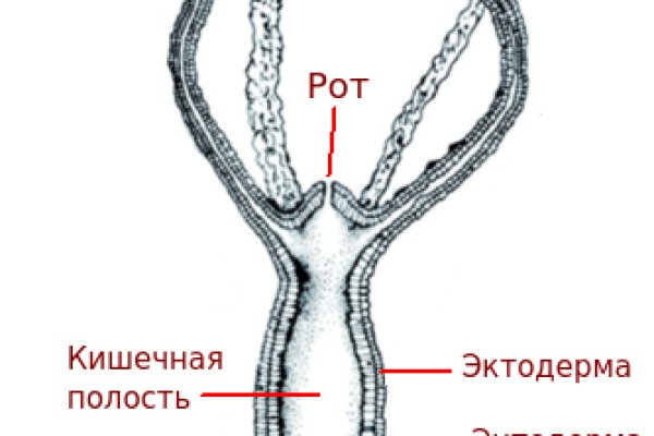 Кракен 2krnk