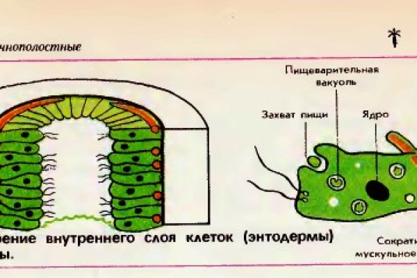 Кракен закладки