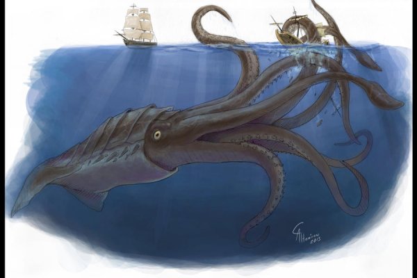 Kraken tor