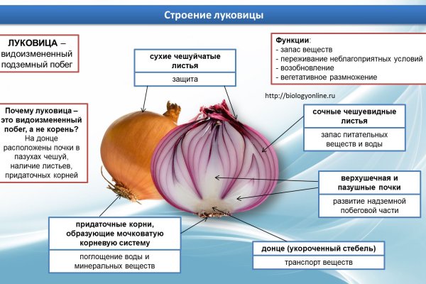 Кракен официальный сайт онион